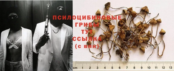 jwh Армянск
